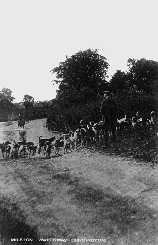 photos reynolds009.jpg